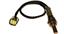 Oxygen Sensor O2 250-24772