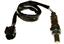 Oxygen Sensor O2 250-24785