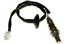 Oxygen Sensor O2 250-24796