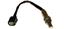 Oxygen Sensor O2 250-24833