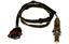 Oxygen Sensor O2 250-24854