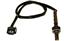 Oxygen Sensor O2 250-24915