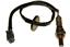 Oxygen Sensor O2 250-24983