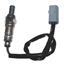 Oxygen Sensor O2 250-24996