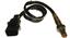 Oxygen Sensor O2 250-25002