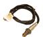 Oxygen Sensor O2 250-25011