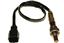 Oxygen Sensor O2 250-25029