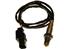 Oxygen Sensor O2 250-25041