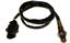 Oxygen Sensor O2 250-25047