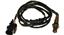 Oxygen Sensor O2 250-25052