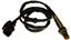 Oxygen Sensor O2 250-25073