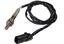 Oxygen Sensor O2 250-25081