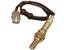 Oxygen Sensor O2 250-54014