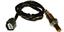 Oxygen Sensor O2 250-54022