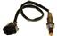 Oxygen Sensor O2 250-54029