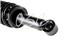 Suspension Strut and Coil Spring Assembly OS Q171352