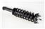 Suspension Strut and Coil Spring Assembly OS Q171352