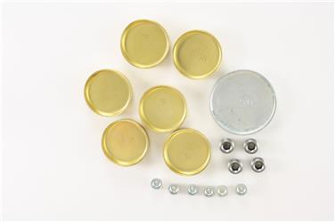 Engine Expansion Plug Kit PC PE-110-B