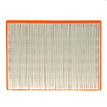 Air Filter PG PA4475