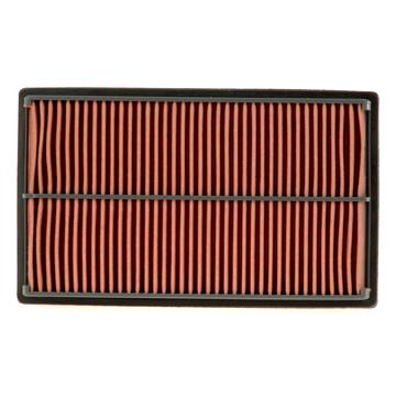 Air Filter PG PA4648