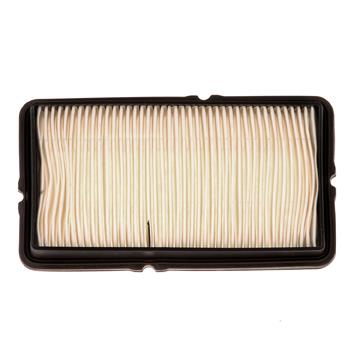 Air Filter PG PA4680