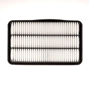 Air Filter PG PA4690