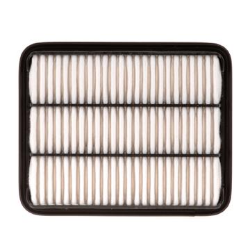 Air Filter PG PA4720