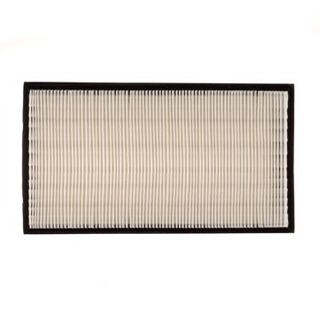 Air Filter PG PA4819