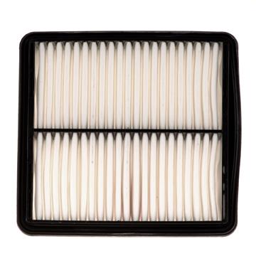 Air Filter PG PA5368