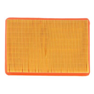 Air Filter PG PA5395