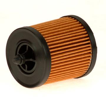 Engine Oil Filter PG PO5436