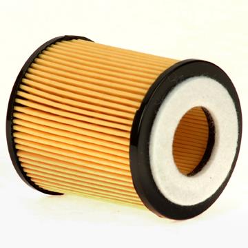 Engine Oil Filter PG PO5505