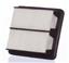 Air Filter PG PA6100