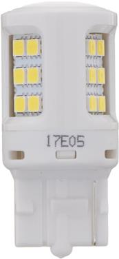 Fog Light Bulb PL 7440WLED