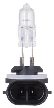 Fog Light Bulb PL 886B1