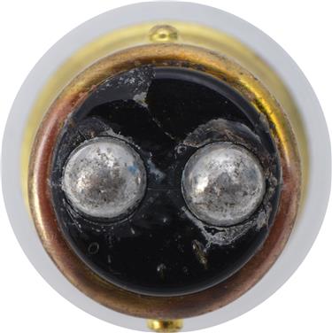 Dome Light Bulb PL 90B2