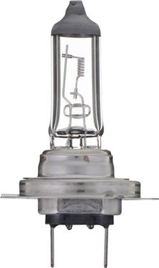 Fog Light Bulb PL H7C1