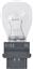 Back Up Light Bulb PL 3155B2