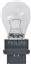 Back Up Light Bulb PL 3156B2