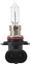 Headlight Bulb PL 9005PRB1