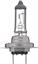 Fog Light Bulb PL H7C1