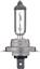 Fog Light Bulb PL H7C1