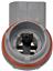 Turn Signal Light Socket RB 645-562