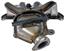 Exhaust Manifold with Integrated Catalytic Converter RB 674-841