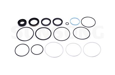 Steering Gear Seal Kit S5 8401187