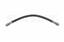 Brake Hydraulic Hose S5 2201394