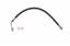 Brake Hydraulic Hose S5 2204402