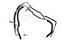 Power Steering Hose Assembly S5 3401170