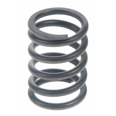 Engine Valve Spring SE VS-665