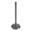 Engine Intake Valve SE V-4065